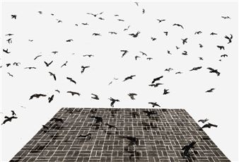 Paras Vijan: Tathstu - Centre Clark