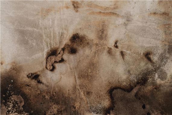 89-3 - Cai Guo Qiang