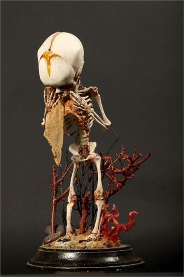 Weeping vanity - Michel de Spiegelaere