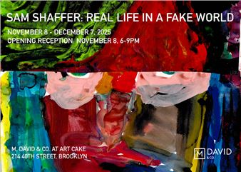 Sam Shaffer: Real Life In A Fake World - M. David & Co.