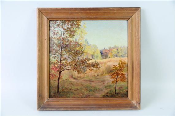 Enchanted Meadow from Cottage