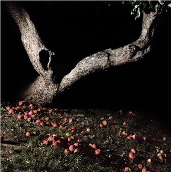 The Haunted: Contemporary Photography Conjured in New England - Moss Galleries, Falmouth