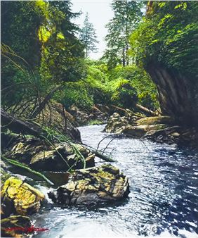 Forest Stream - James Asher