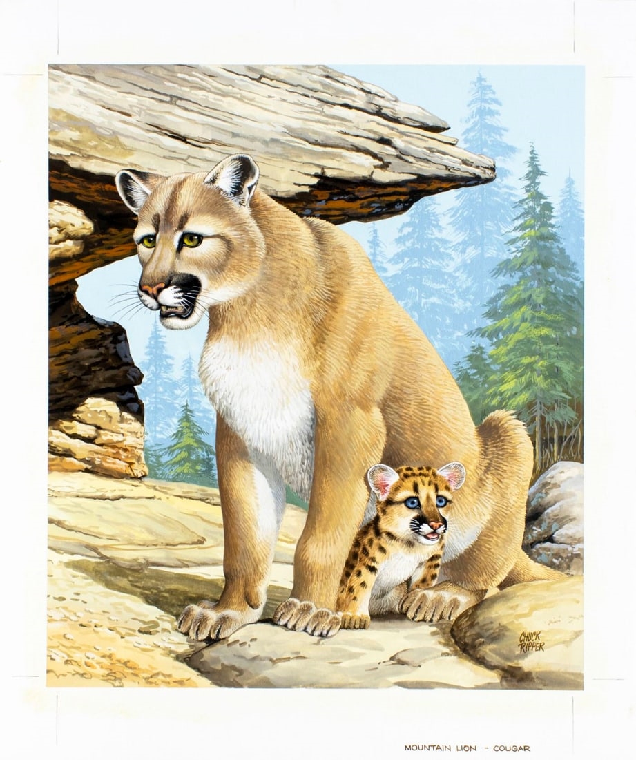Chuck Ripper | Mountain Lion - Cougar (1997) | MutualArt
