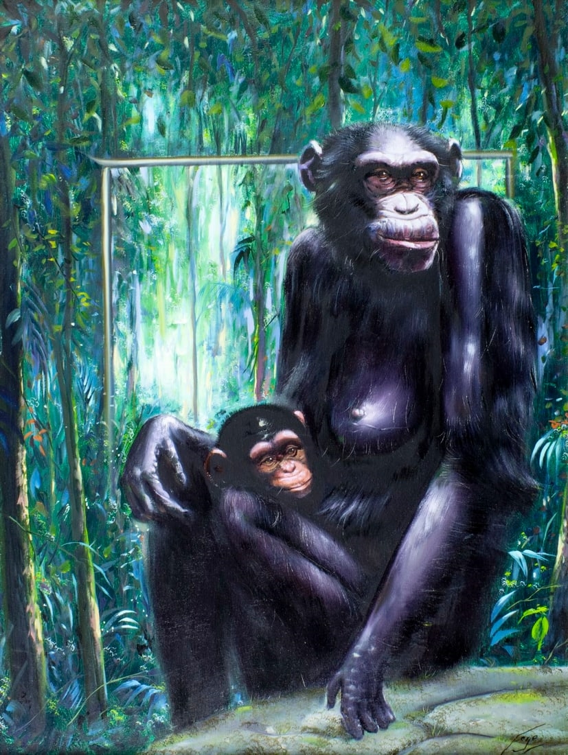 Fernando de Jesus Oliveira | Monkeys - Mother Chimpanzee with Baby ...