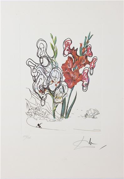 Gladiolus - Salvador Dalí