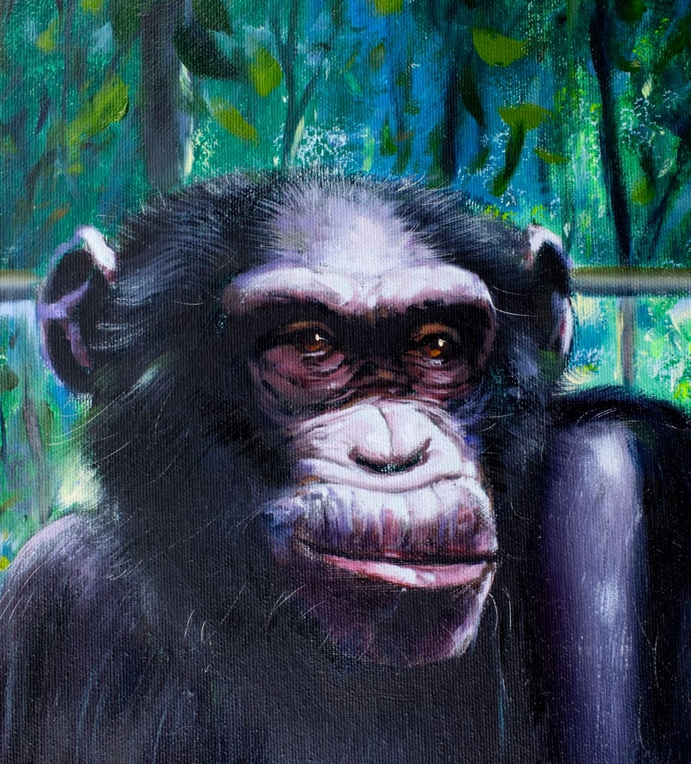 Fernando de Jesus Oliveira | Monkeys - Mother Chimpanzee with Baby ...