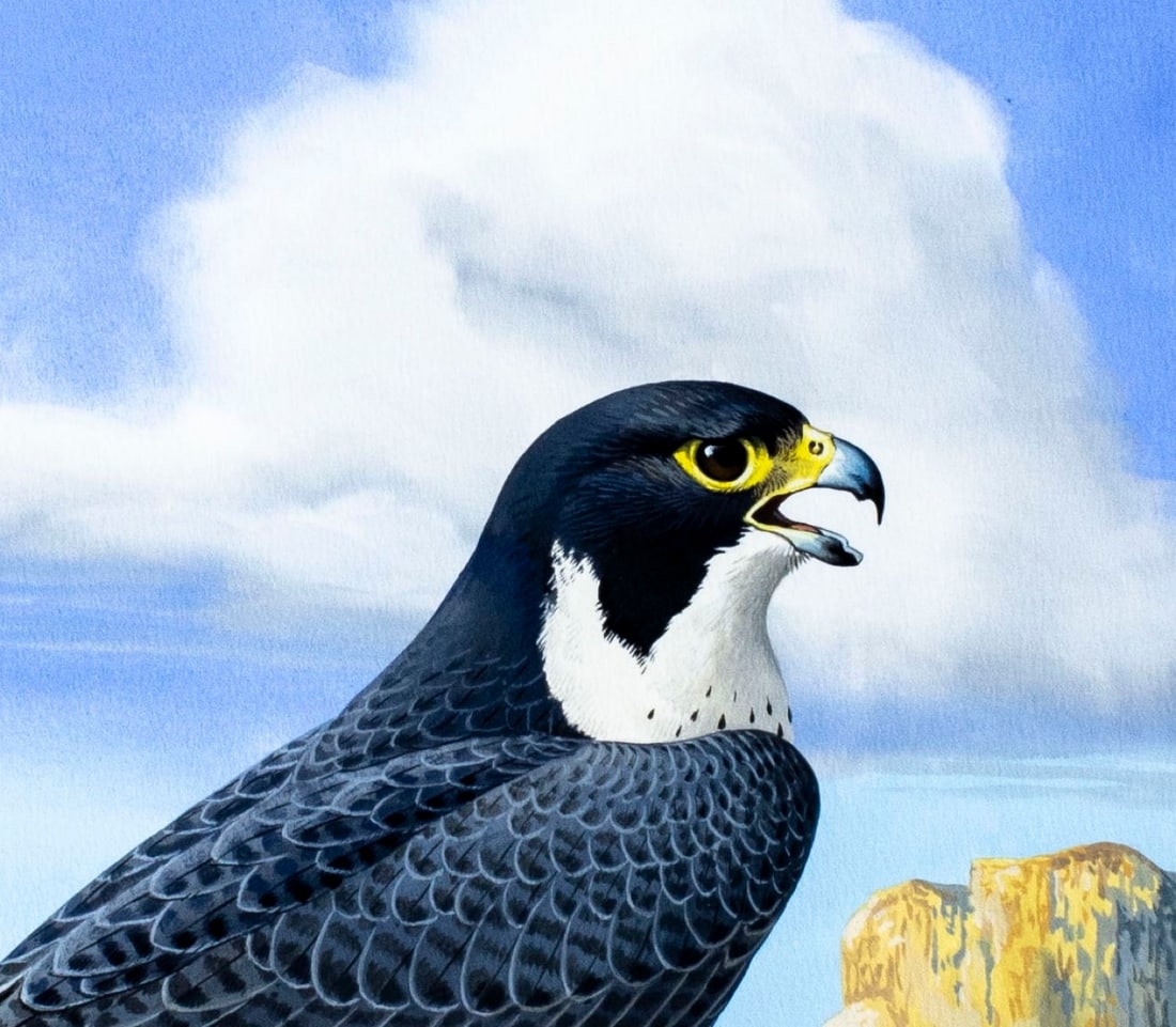 Chuck Ripper | Peregrine Falcon Bird (1992) | MutualArt