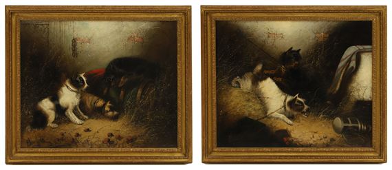 Terriers ratting - Edward Armfield
