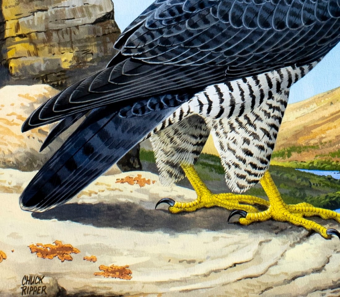 Chuck Ripper | Peregrine Falcon Bird (1992) | MutualArt