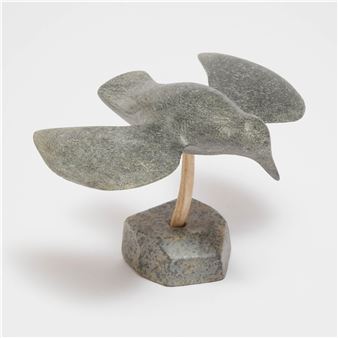 BIRD IN FLIGHT - Tuna Iquliq