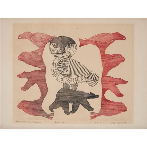 OWL AND ANIMAL IMAGES