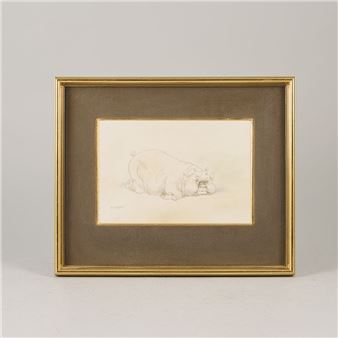 Gris - Robert Högfeldt