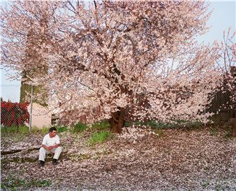 Larry Sultan: Homeland