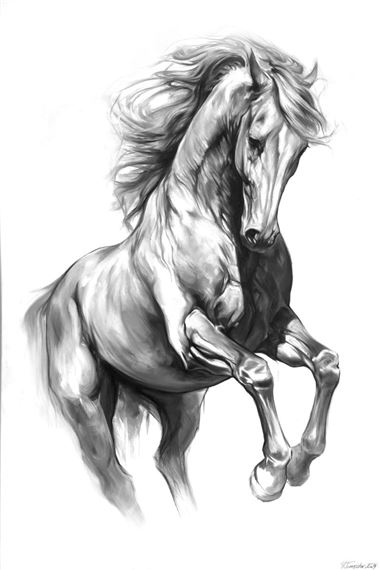 Horse by Weronika Formejster, 2024