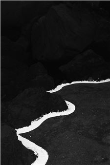 Tito Mouraz: Selva Oscura - 3 +1 Contemporary Art Gallery