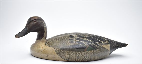 Rare early pintail - Ken Harris