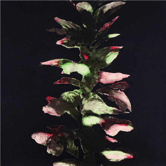 ACANTHUS by Donald Sultan, 1992