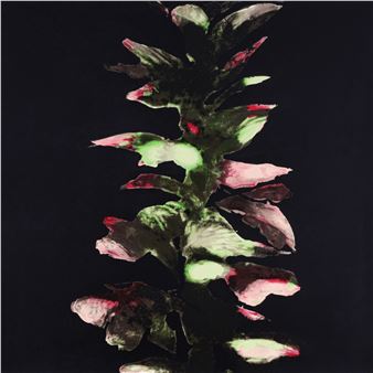 ACANTHUS - Donald Sultan