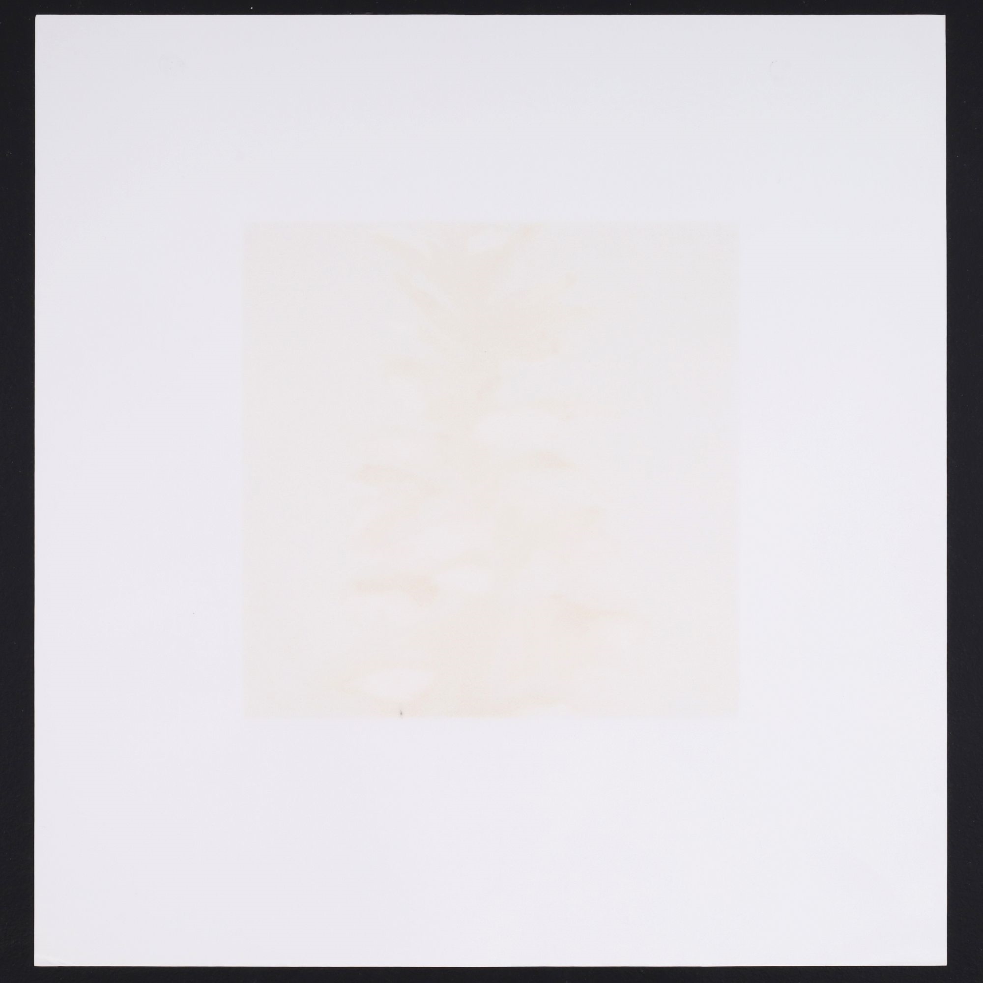 Artwork by Donald Sultan, ACANTHUS, Made of Screenprint In Colors On Wove Paper