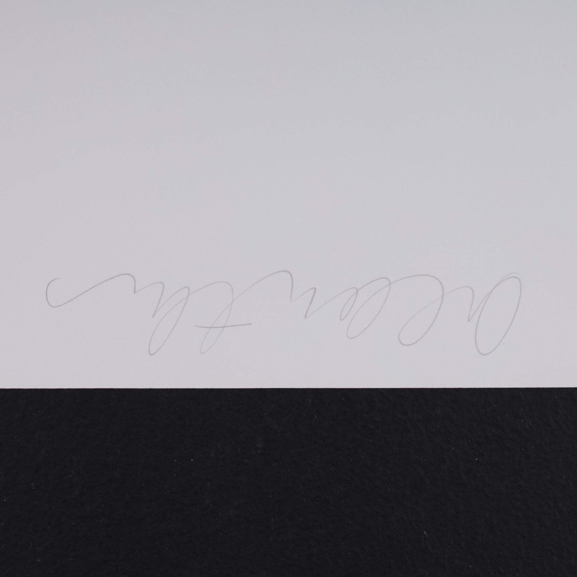 Artwork by Donald Sultan, ACANTHUS, Made of Screenprint In Colors On Wove Paper