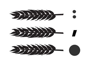 Lucy Skaer: Stacks and Ledgers - Peter Freeman, Inc. 