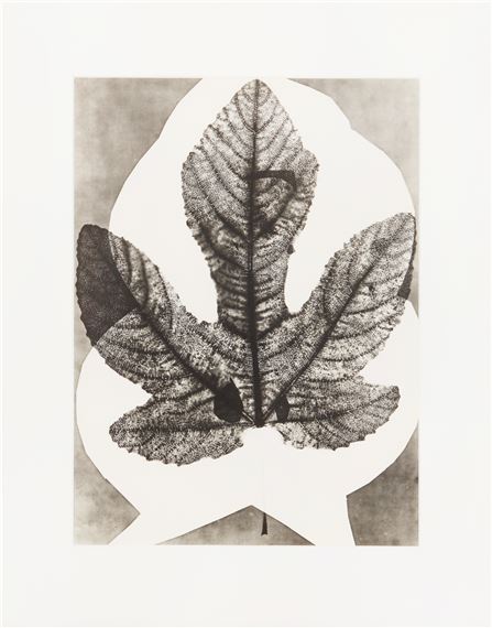 Midas by Pablo Picasso, 1962