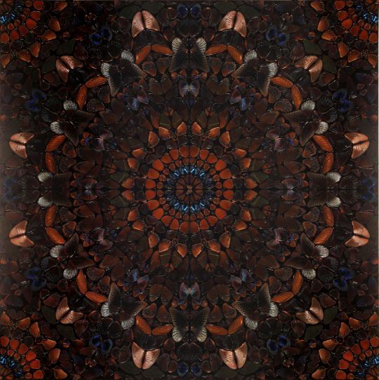 The Rape of Persephone