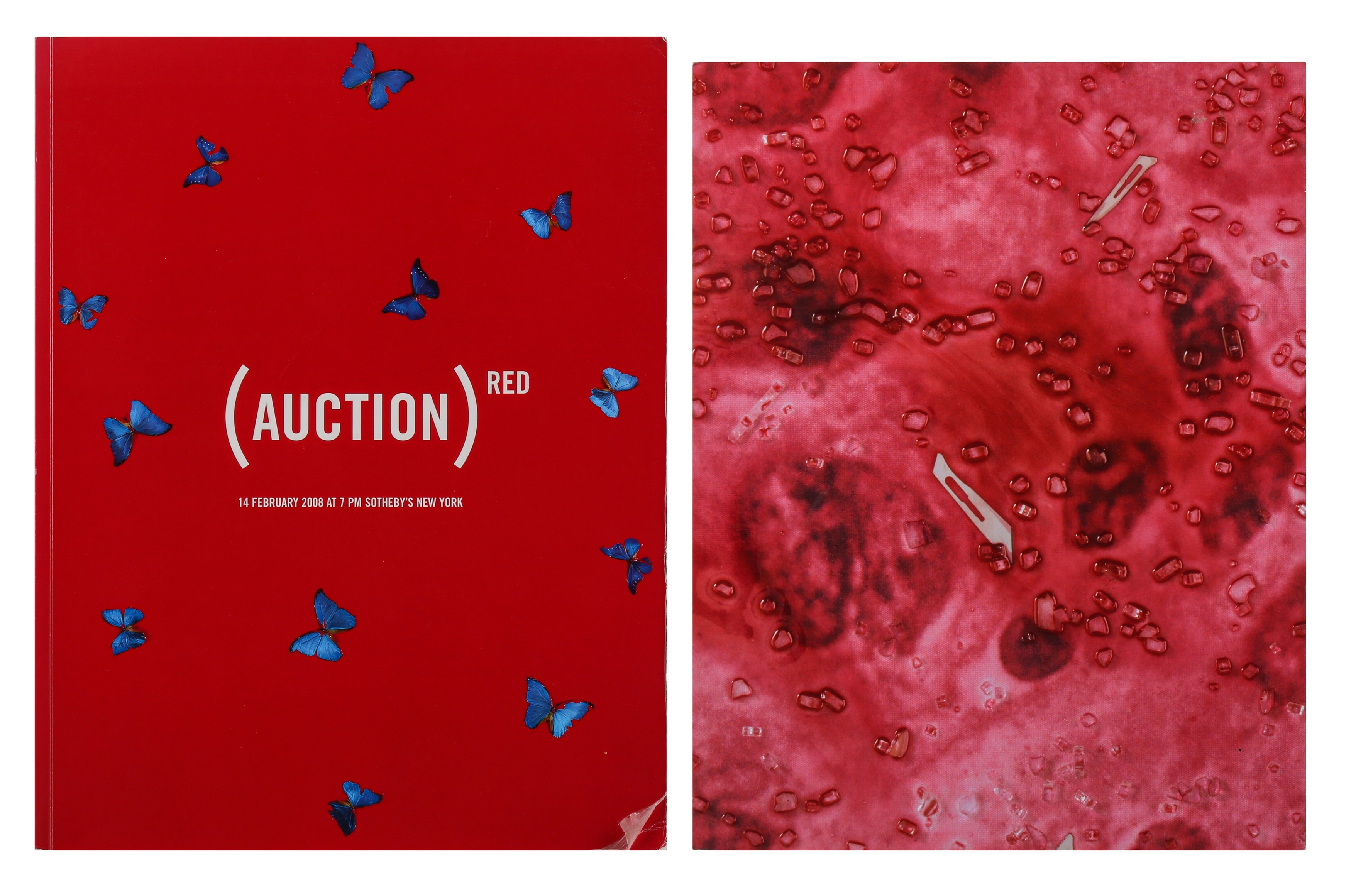 Artwork by Damien Hirst, Beyond Belief, Made of books