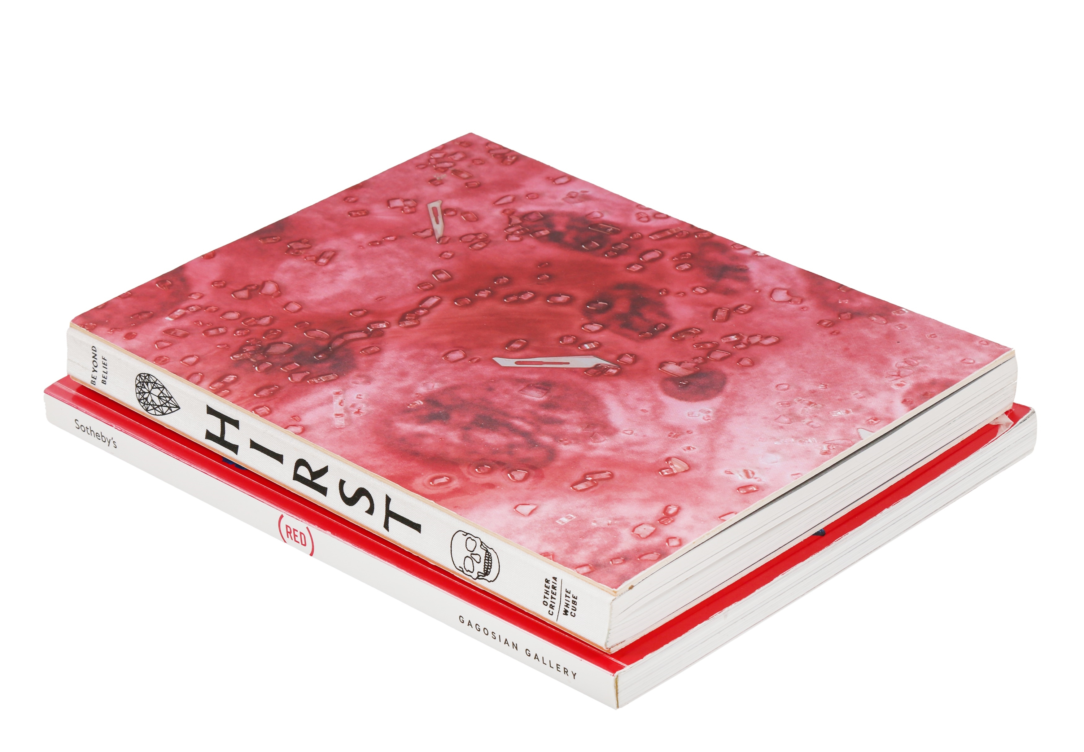 Artwork by Damien Hirst, Beyond Belief, Made of books