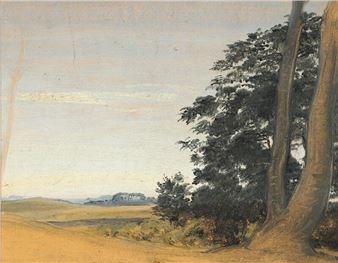 Yellow fields with trees and tree trunks - Peter Christian Thamsen Skovgaard