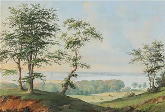 A Danish summer landscape with a view to Aarhus town seen from HÃ¸jbjerg - Peter Holm