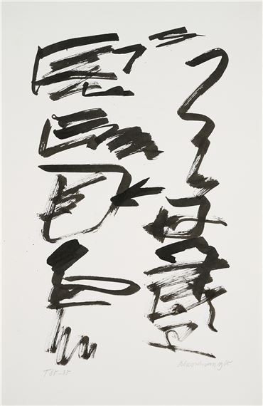 T 85-35 - Jan J. Schoonhoven