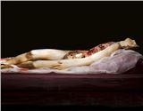 The Anatomical Venus: A Macabre Dedication to the Human Body