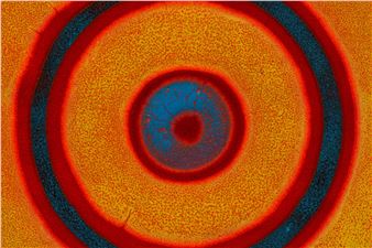 Material Affinities and Tropical Dreams