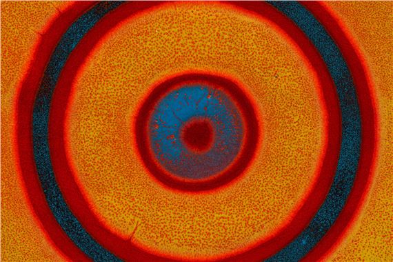 Material Affinities and Tropical Dreams - Almeida & Dale (Fradique Coutinho)