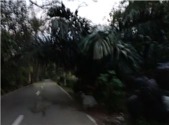 Zean Cabangis: A Long Walk - Artinformal, Makati