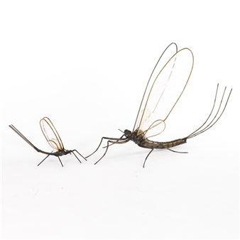 Mayfly - Bill Secunda