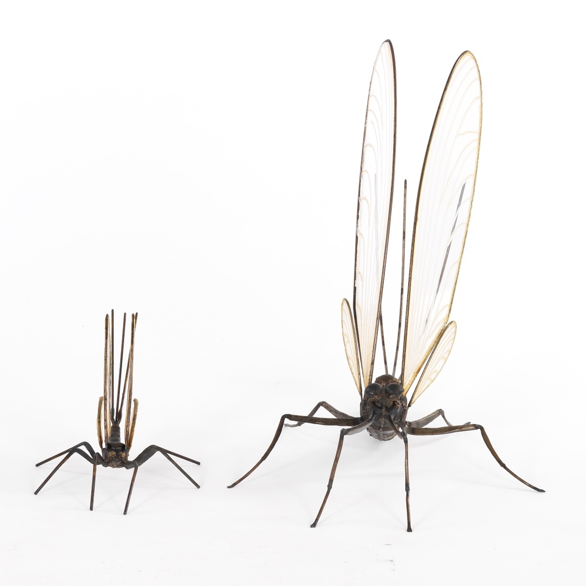 Artwork by Bill Secunda, Mayfly, Made of Patinated Iron And Plexiglass