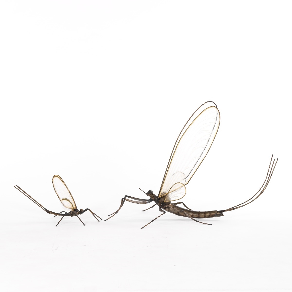 Artwork by Bill Secunda, Mayfly, Made of Patinated Iron And Plexiglass
