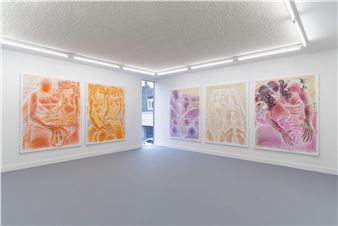 Pieter Slagboom at Drawing Centre Diepenheim