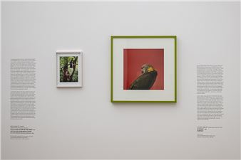 Museum Brandhorst show ignites 'Confrontations' by pairing contrasting masterworks