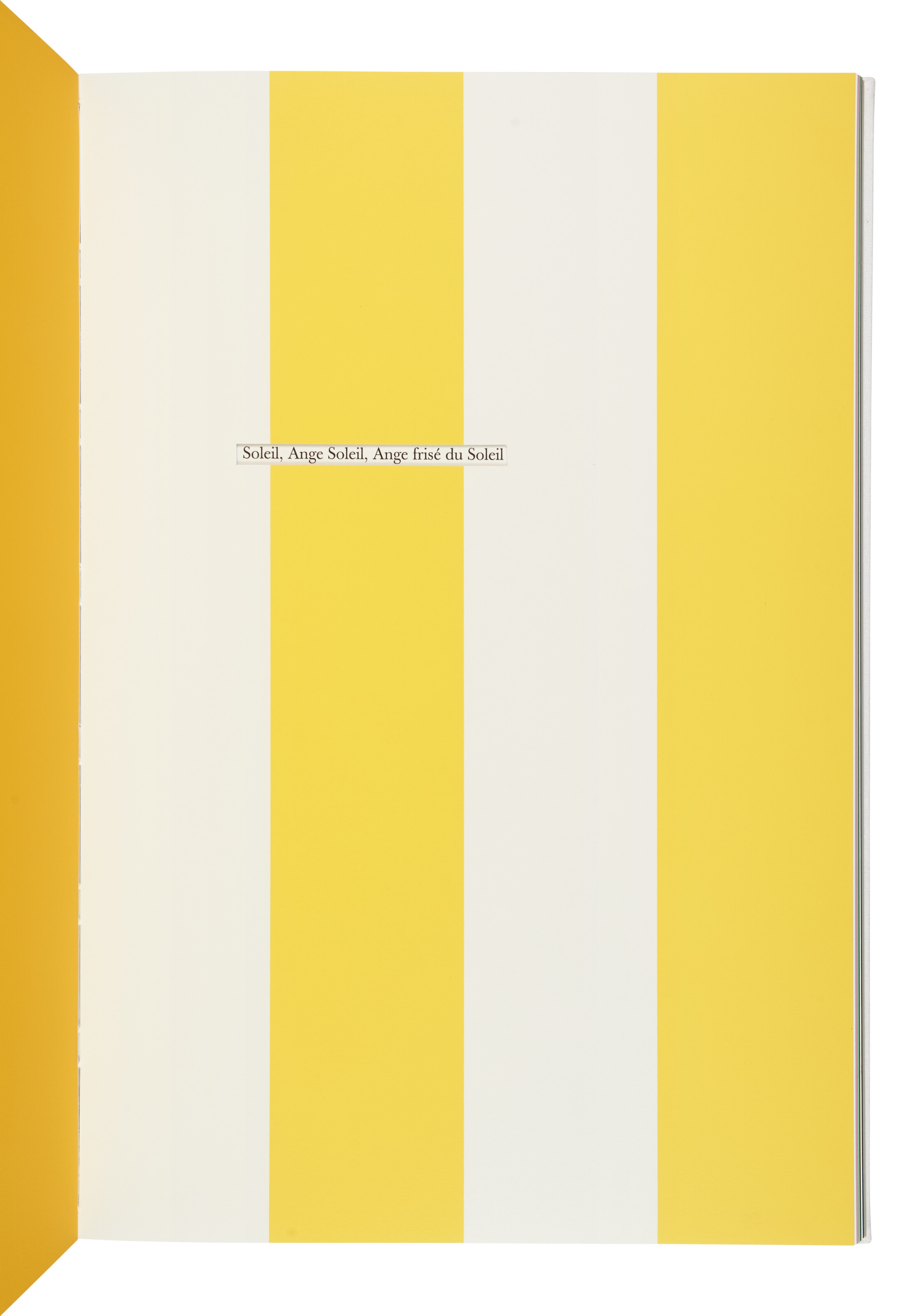 Artwork by Daniel Buren, Cahier d'un retour au pays natal. Paris : Éditions du Solstice, 2004., Made of sérigraphies en couleurs