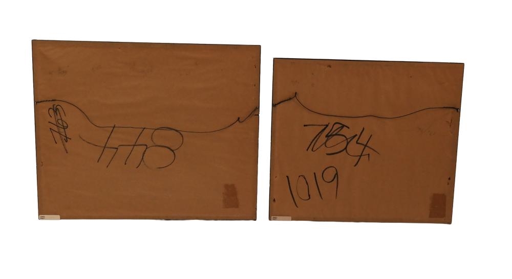 Artwork by William Cullen Bryant, Scenes in Chicago, Made of Colored Engravings