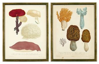 A PAIR OF ORIGINAL HAND COLOURED 19TH CENTURY FRENCH ENGRAVINGS OF MUSHROOMS - Joseph Roques