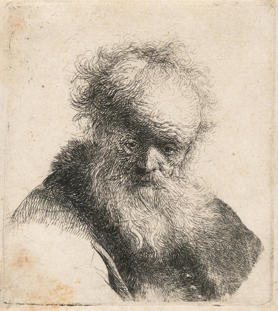 Rembrandt van Rijn | Bust of an Old Man with Flowing Beard and White ...