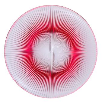 Circular dynamics - Alberto Biasi