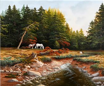 Horses in Bellever Forest; Ponies on a Moor