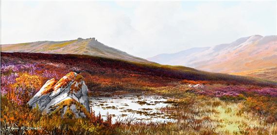 Moorland in Springtime by Brian D. Horswell
