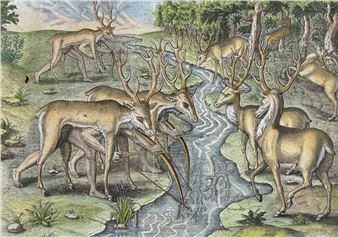 Their manner of hunting (Deer - Theodor de Bry